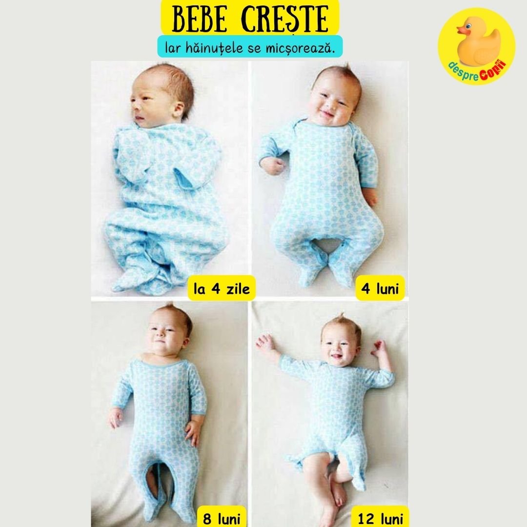 bebe creste